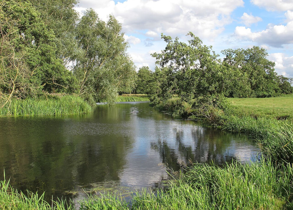 Bungay Common - Copyright Roger Jones